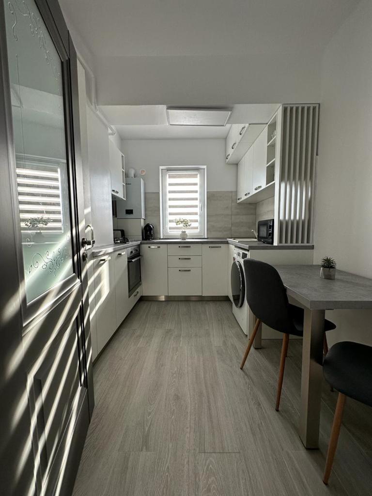 Cozy Holidays In Center Of Suceava Esplanada Εξωτερικό φωτογραφία