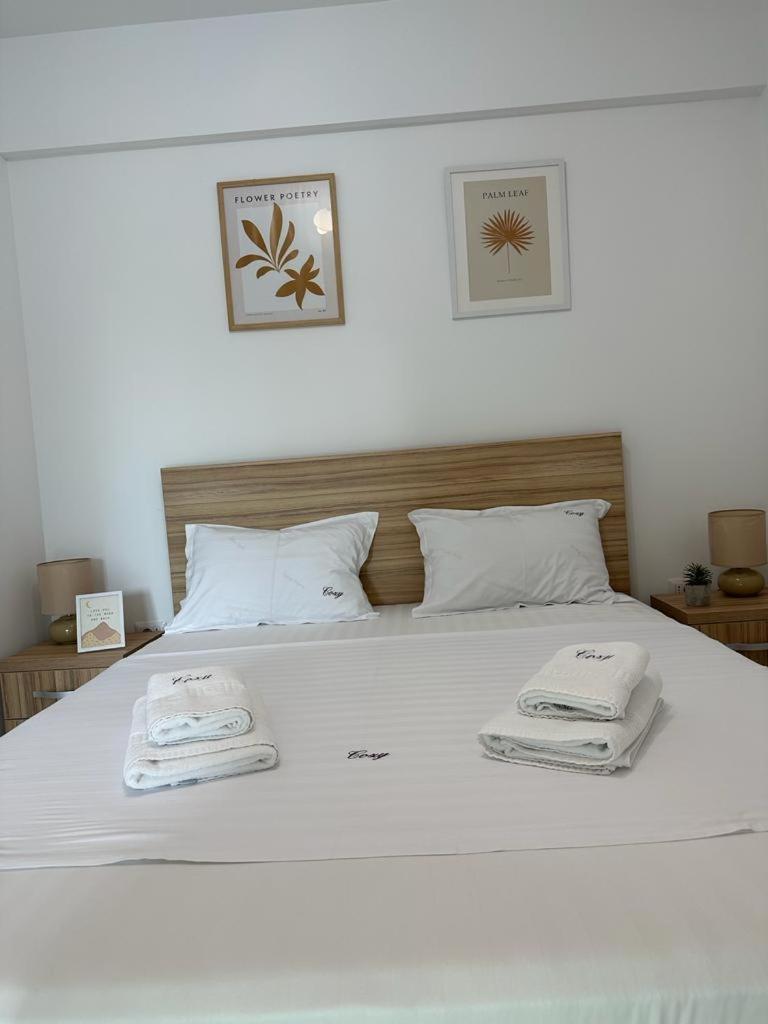Cozy Holidays In Center Of Suceava Esplanada Εξωτερικό φωτογραφία