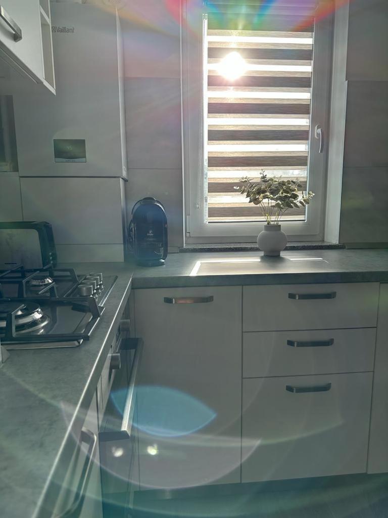 Cozy Holidays In Center Of Suceava Esplanada Εξωτερικό φωτογραφία