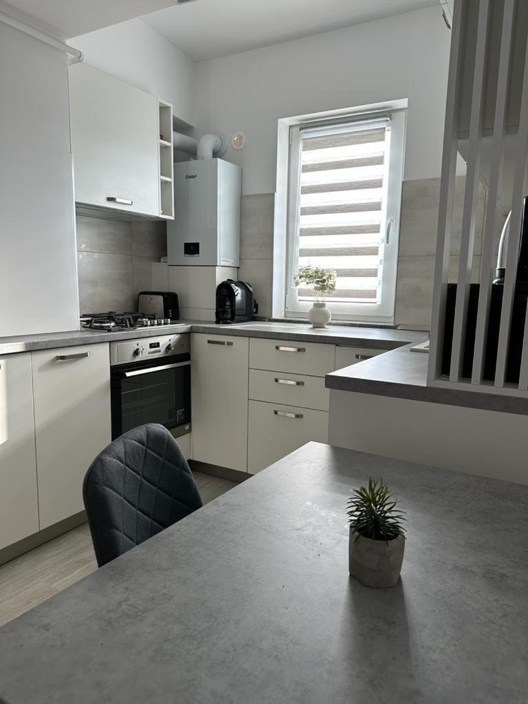 Cozy Holidays In Center Of Suceava Esplanada Εξωτερικό φωτογραφία